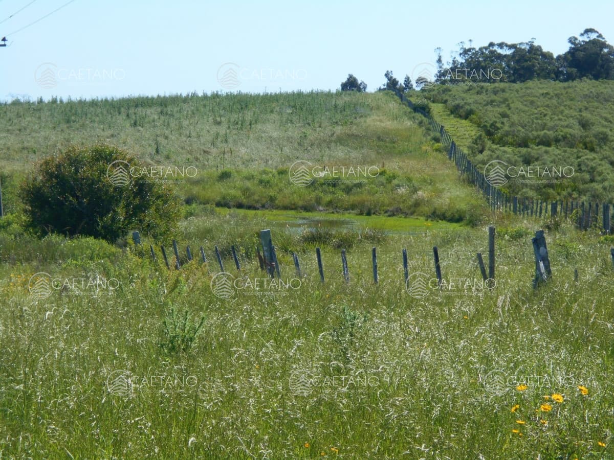 Chacras de 5 hás. - Ruta 39 San Carlos — foto 2
