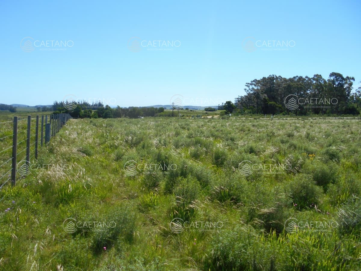 Chacras de 5 hás. - Ruta 39 San Carlos