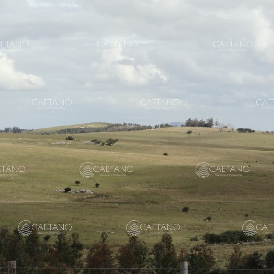 Campo sobre R.12 y a menos de 1 hora de Punta. Suelos 2.12, buenas vistas y gran potencial turístico ! — foto 2
