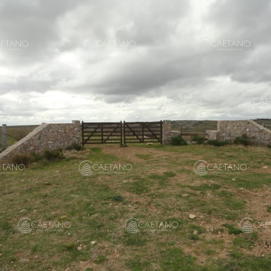 Campo sobre R.12 y a menos de 1 hora de Punta. Suelos 2.12, buenas vistas y gran potencial turístico ! — foto 3