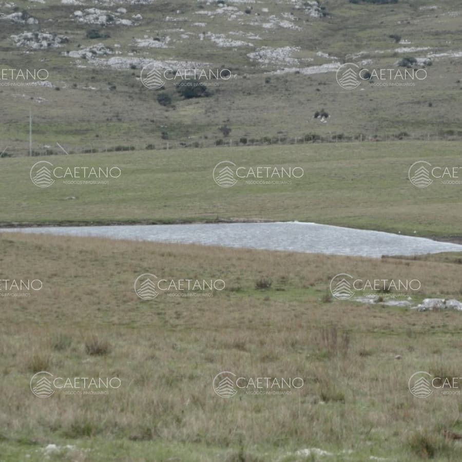 Campo sobre R.12 y a menos de 1 hora de Punta. Suelos 2.12, buenas vistas y gran potencial turístico !