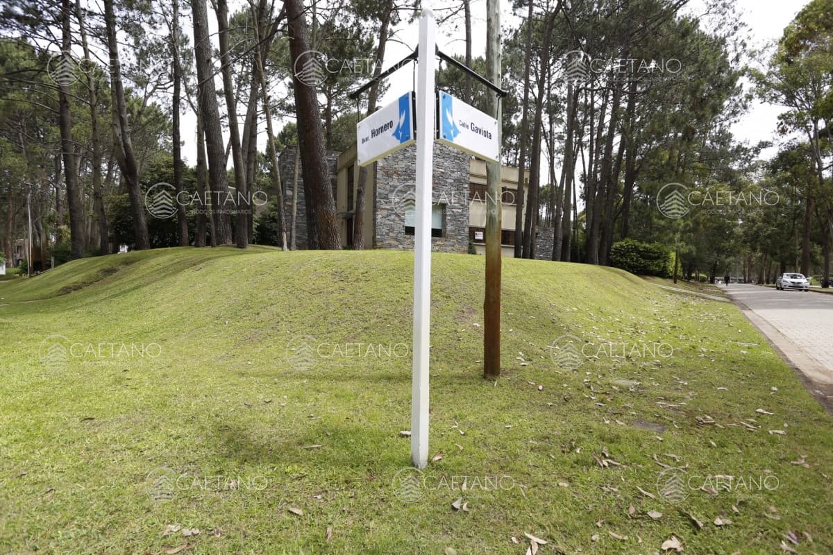Casa en alquiler en Punta Ballena — foto 3