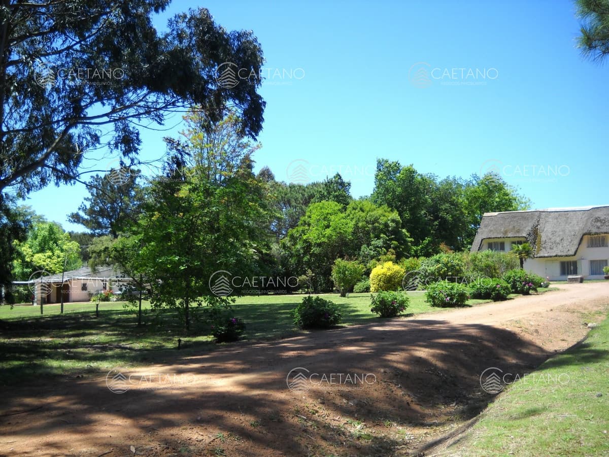 Venta chacra Punta del Este — foto 3