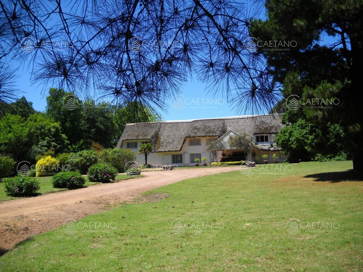Venta chacra Punta del Este — foto 2