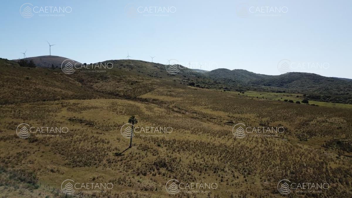 Casa en alquiler en Zona Rural — foto 2