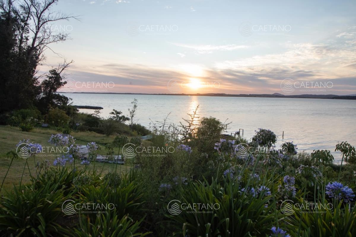 Venta chacra sobre Laguna del Sauce — foto 3