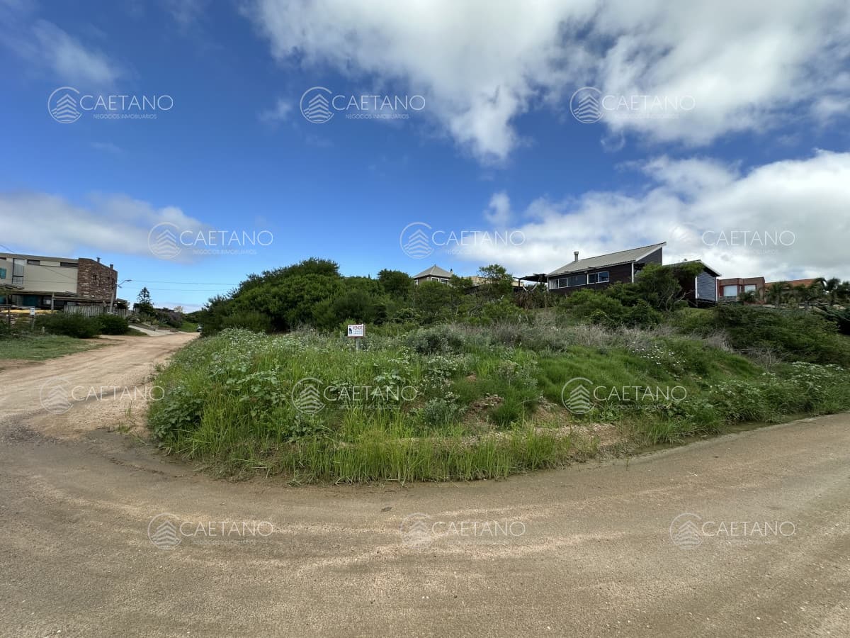 Lote tío tom — foto 2