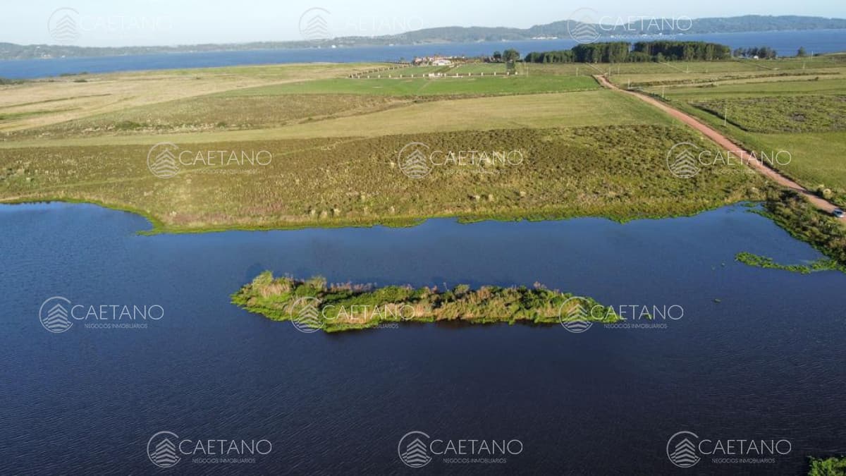 Campo con 300 m  de frente a laguna, cuenta con un islote lugar muy pintoresco. — foto 2