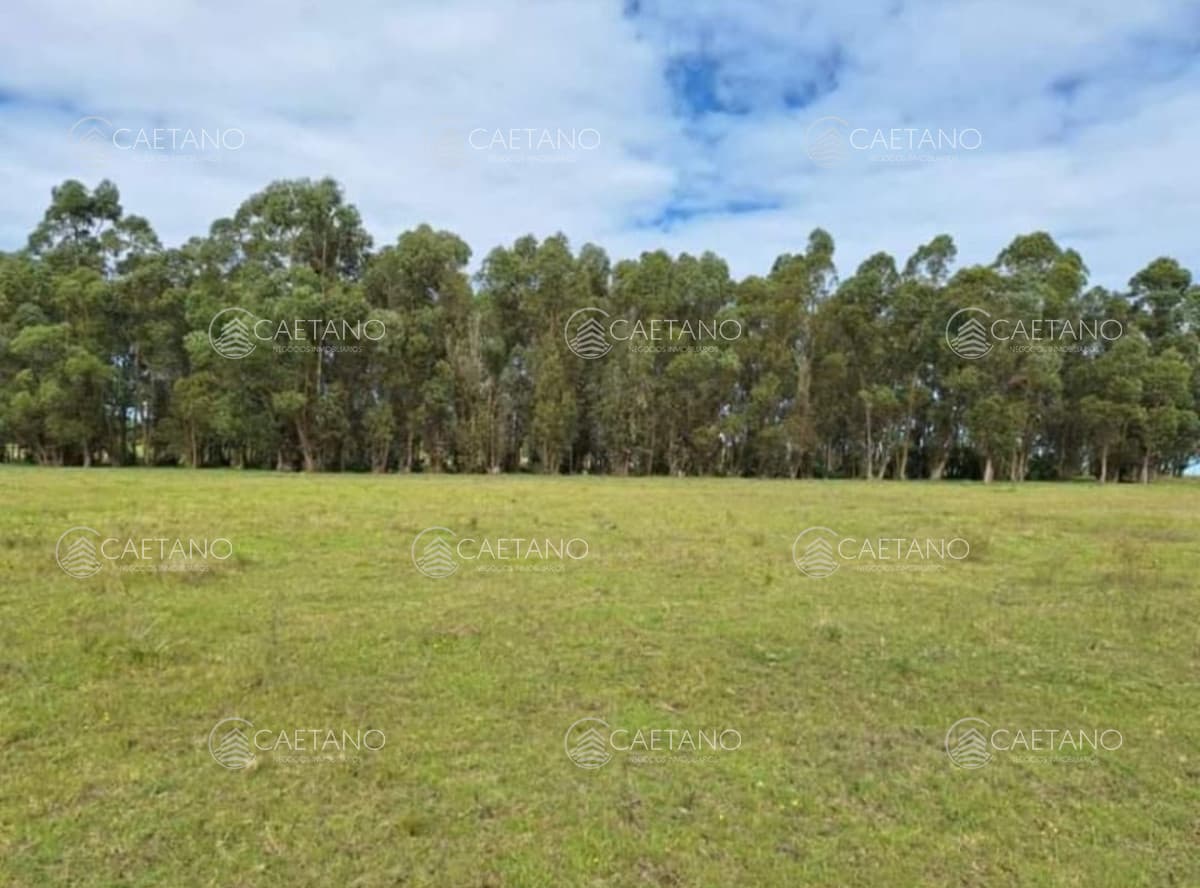 Chacra de 7 has 5437 m2 en los Ceibos — foto 3