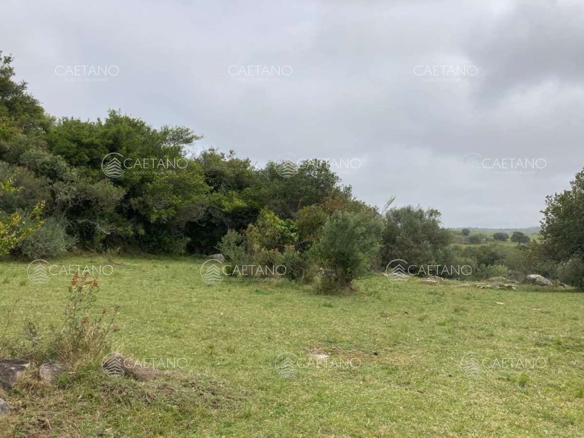 Venta chacra 7 hectáreas, Ruta 39 — foto 2