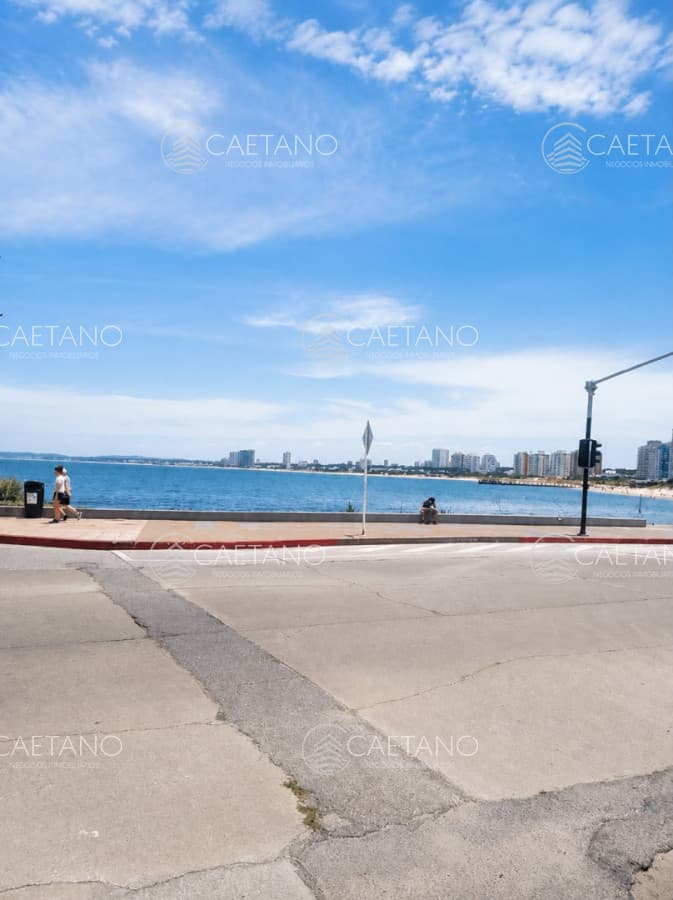 Apartamento en alquiler en Punta del Este
