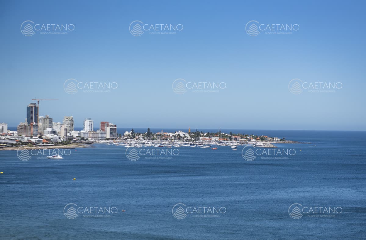 Apartamento en alquiler en Punta del Este