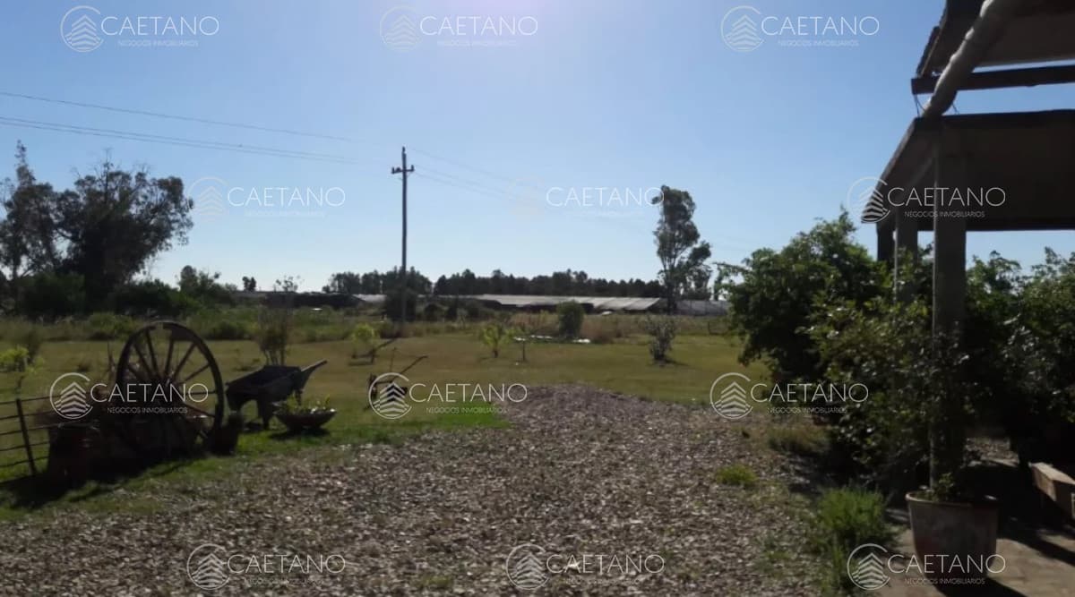 -Chacra de 3 hectáreas en San Carlos. — foto 2