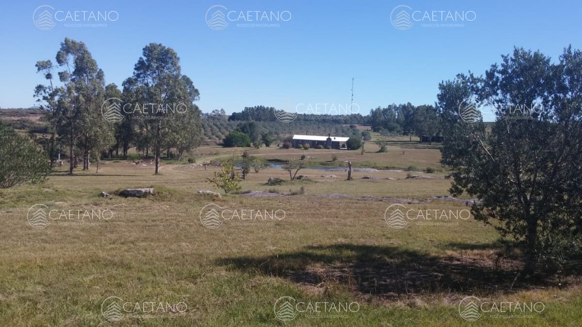 Chacra sobre ruta 12 en venta!