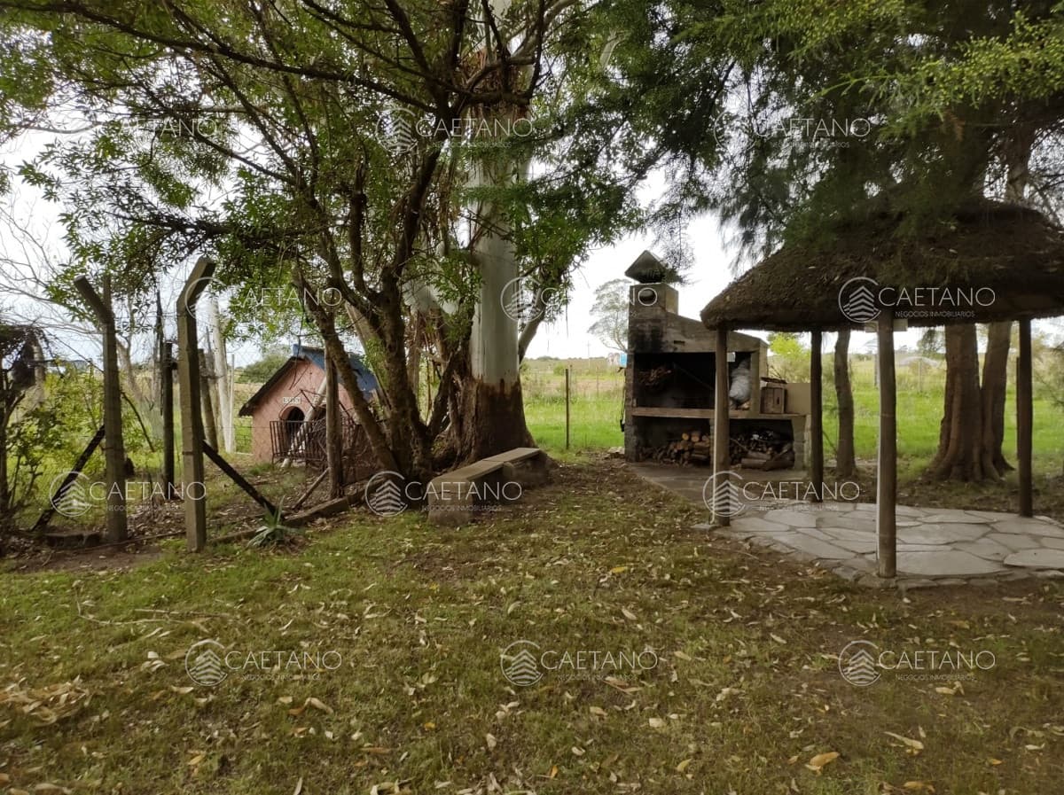 Chacra en Abra de Perdomo — foto 3