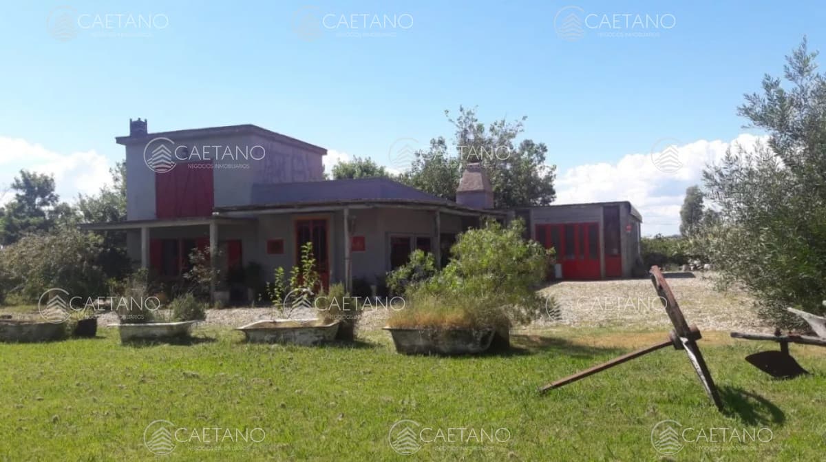 -Chacra de 3 hectáreas en San Carlos.