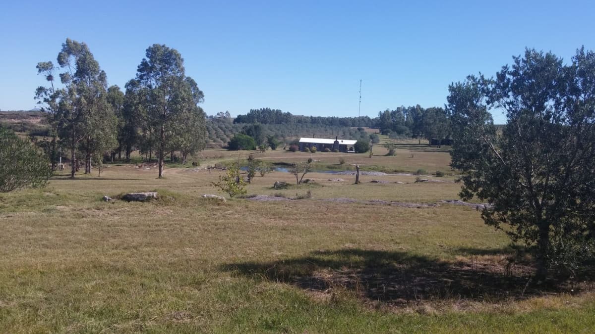 Chacra sobre ruta 12 en venta!