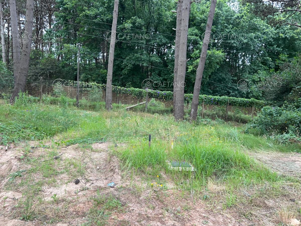Vende terreno en la Reserva de Montoya. — foto 2