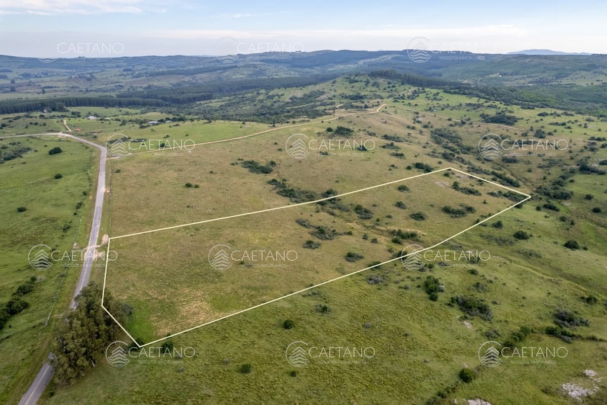 Chacra cerca de Pueblo Edén