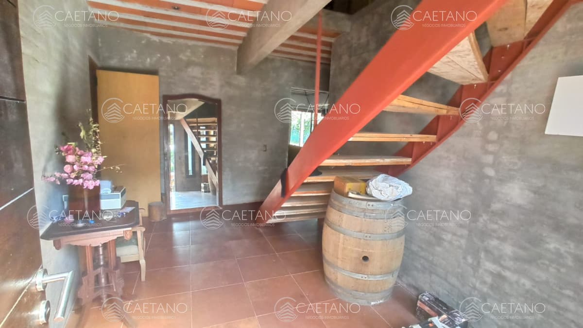 Casa en alquiler en Punta del Este