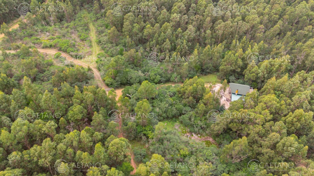 Casa en venta en Piriápolis — foto 3