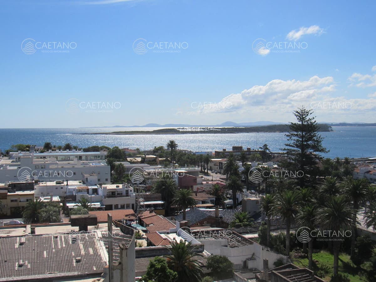 Apartamento en alquiler en Punta del Este — foto 2