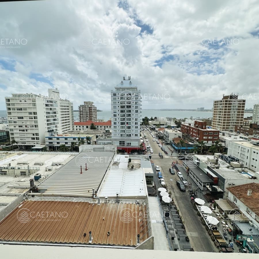 Apartamento en alquiler en Punta del Este