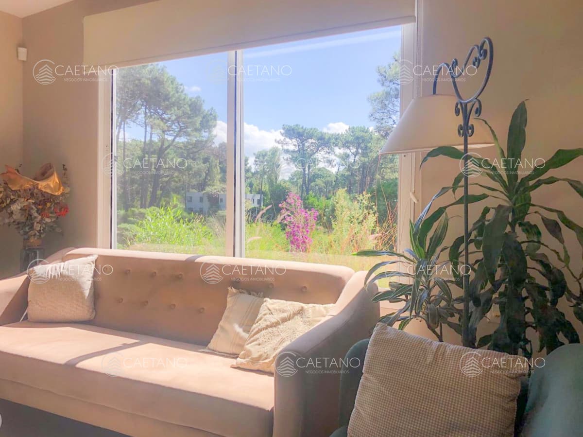 Casa en venta y Alquiler  en Chihuahua - Punta Ballena — foto 3