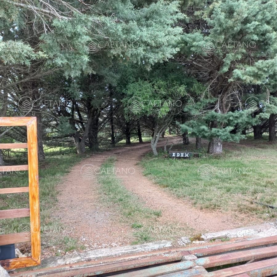 chacra en venta en Pueblo Eden