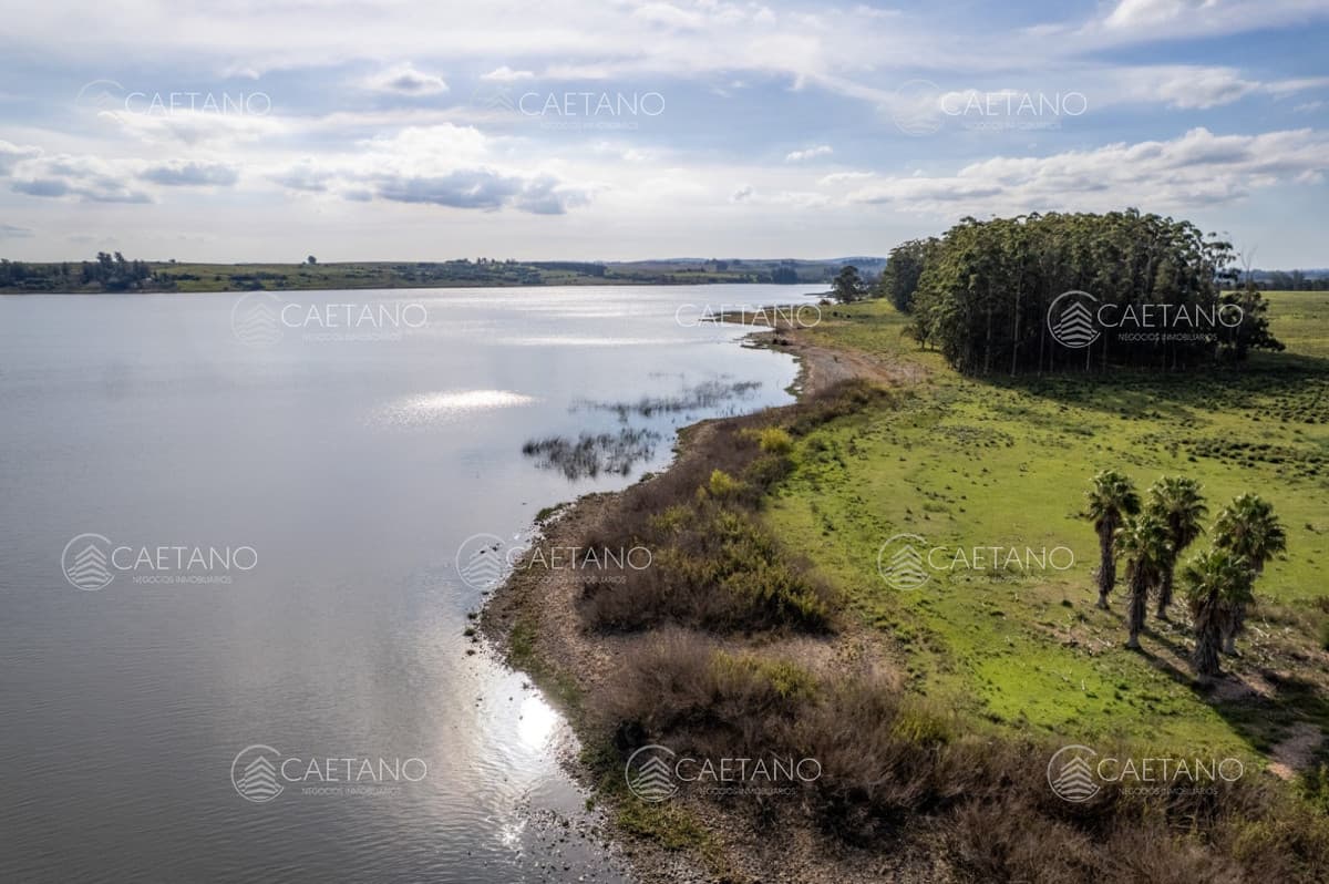 Chacra de 11 hectáreas, venta en laguna del sauce — foto 3