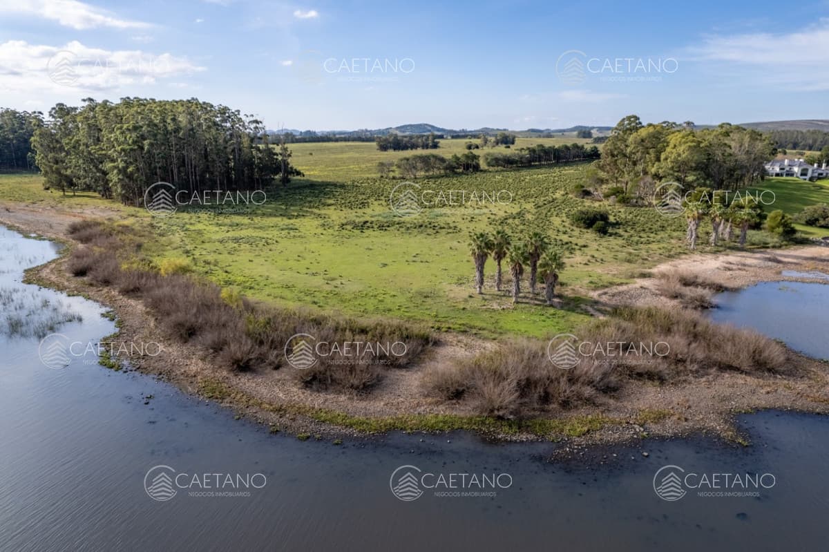 Chacra de 11 hectáreas, venta en laguna del sauce — foto 2