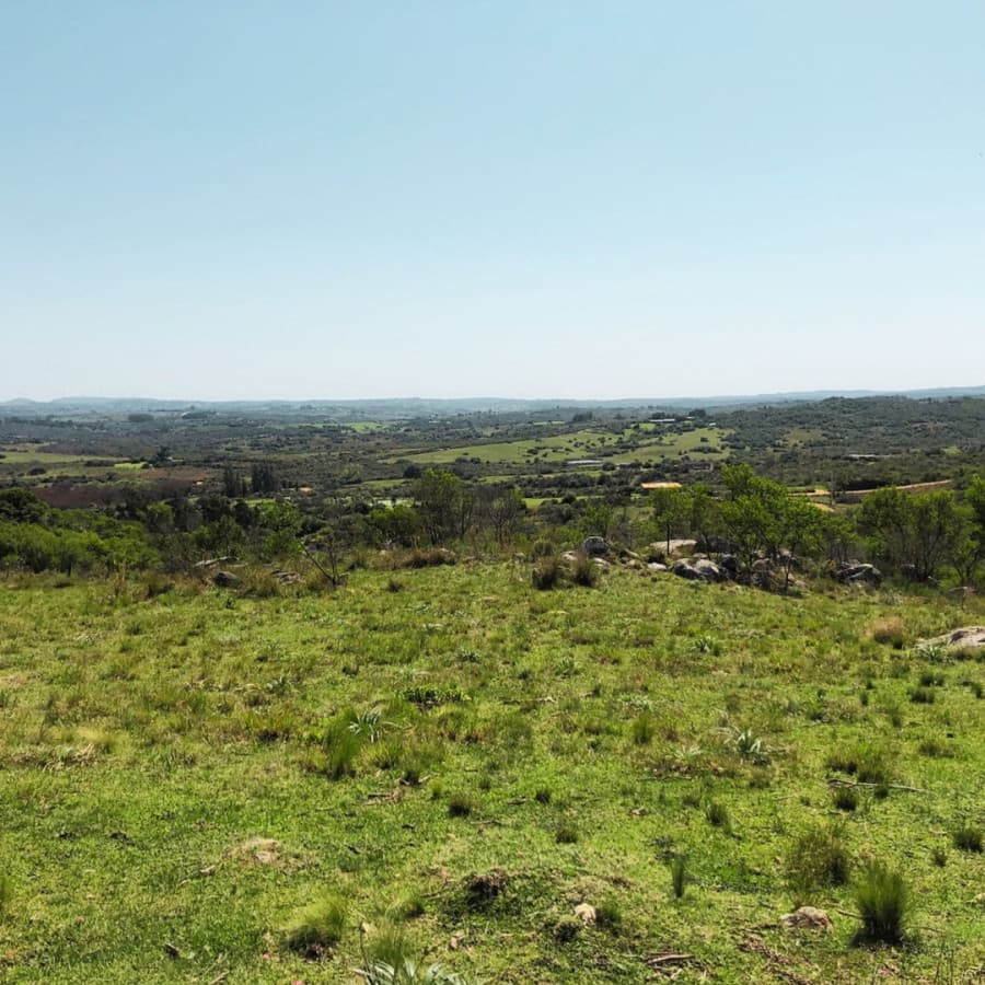 Chacra 6 Hectáreas en Venta