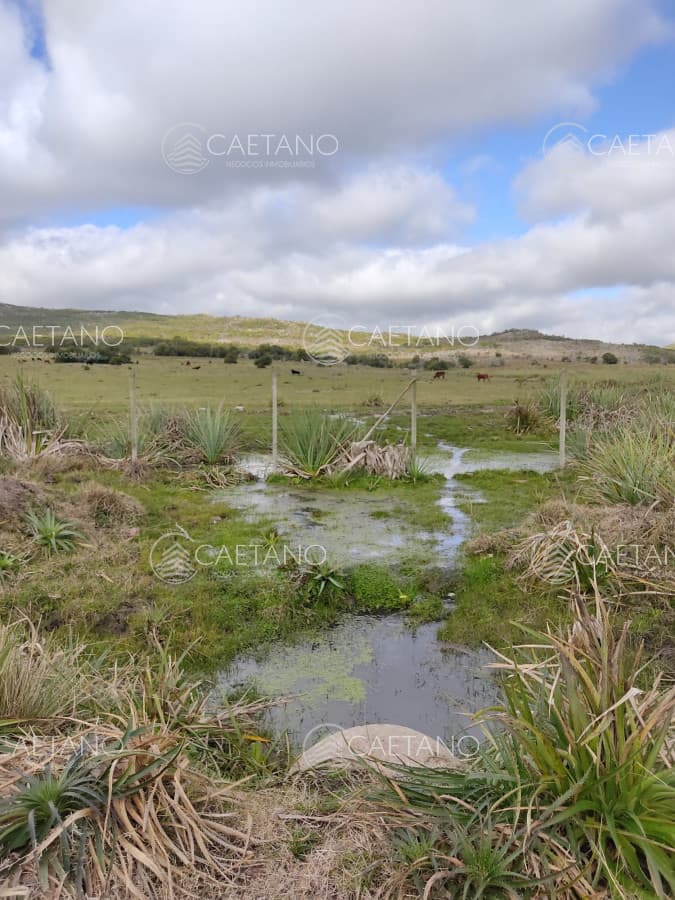 Chacra a la venta en Aigua — foto 3