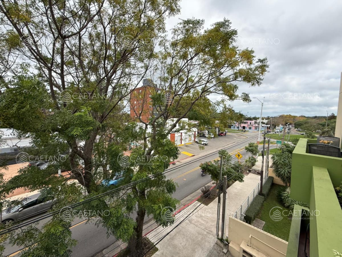 Apartamento 2 dormitorios en Venta Centro Maldonado — foto 3