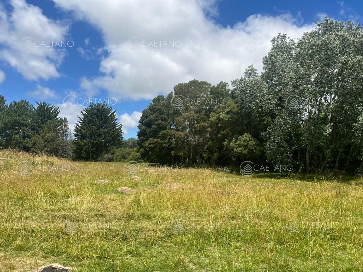 VENTA 11 HECTAREAS RUTA 104 — foto 2