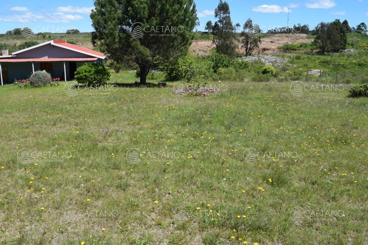 Chacra de 6has proxima a pueblo Eden — foto 3