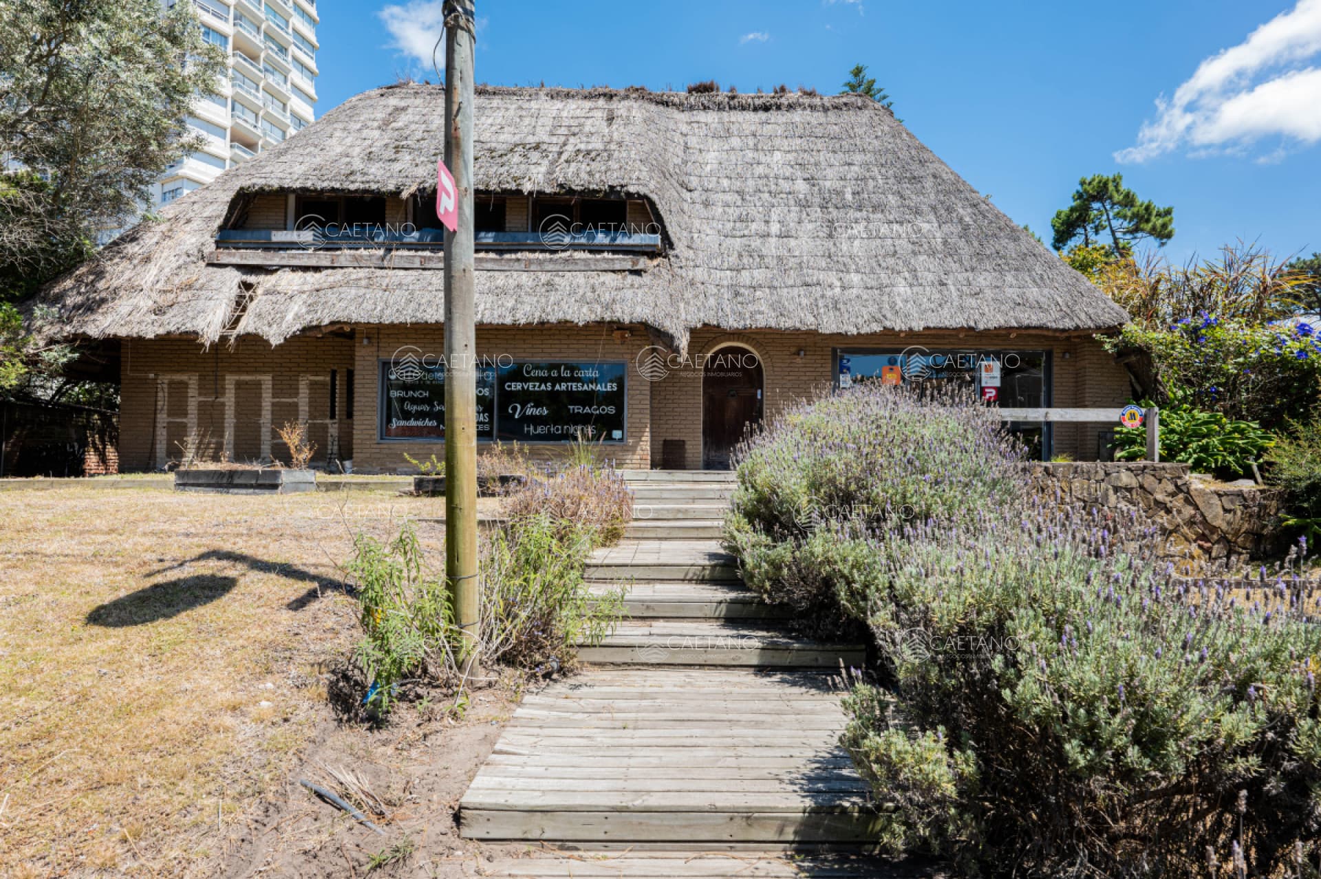 Local en alquiler en Punta del Este