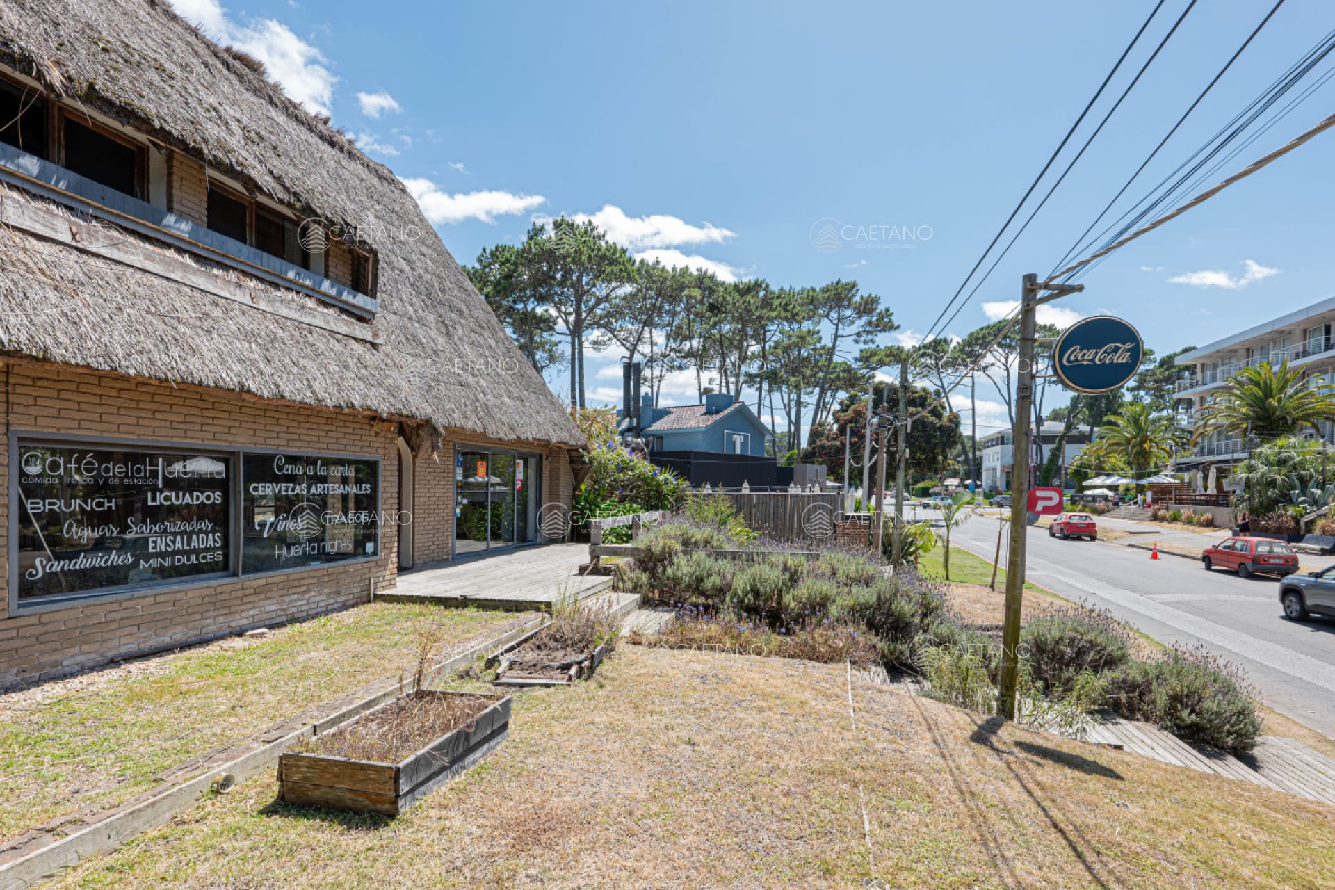 Local en alquiler en Punta del Este — foto 3