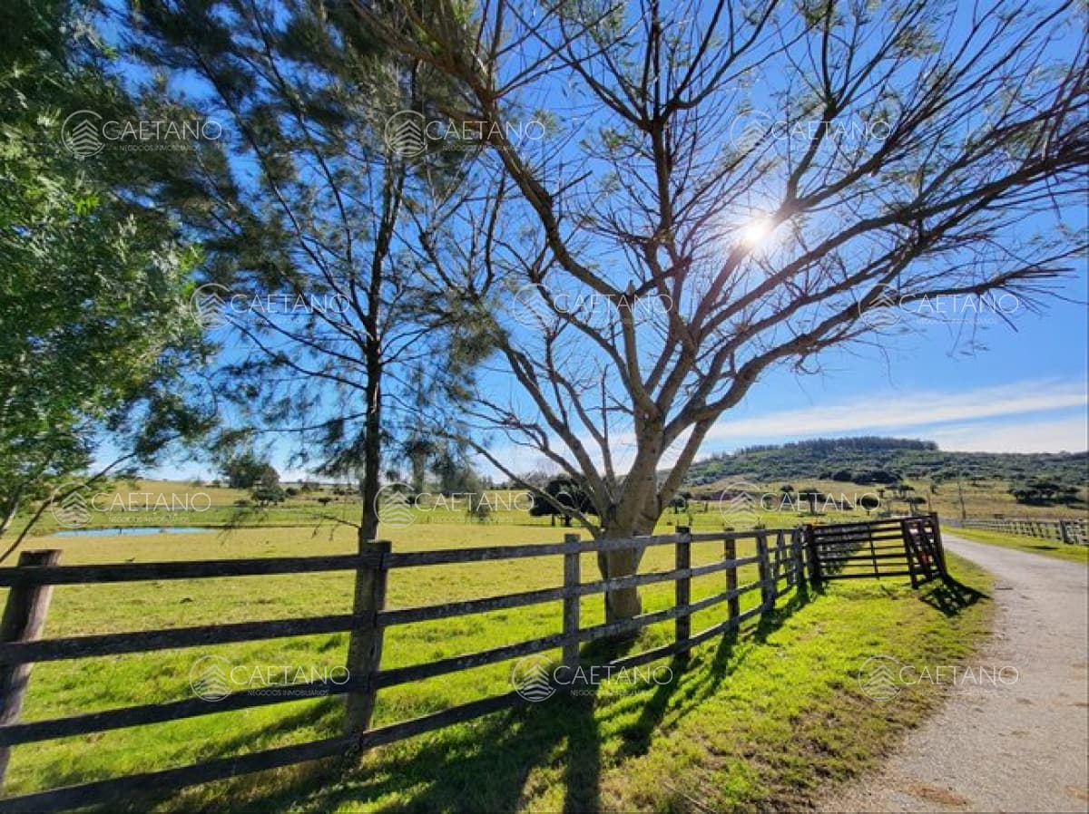 VENTA ESTABLECIMIENTO RURAL EN PUEBLO EDEN — foto 2