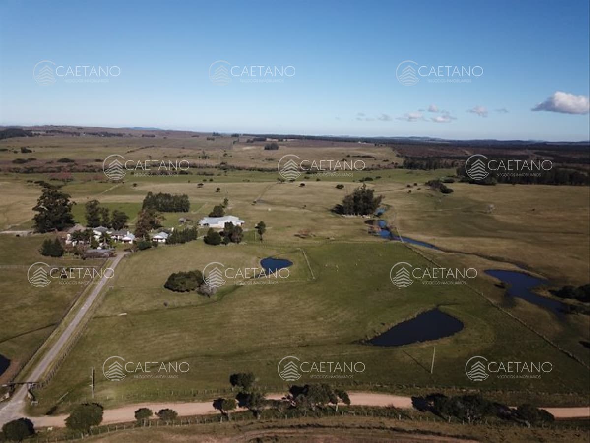 VENTA ESTABLECIMIENTO RURAL EN PUEBLO EDEN — foto 3