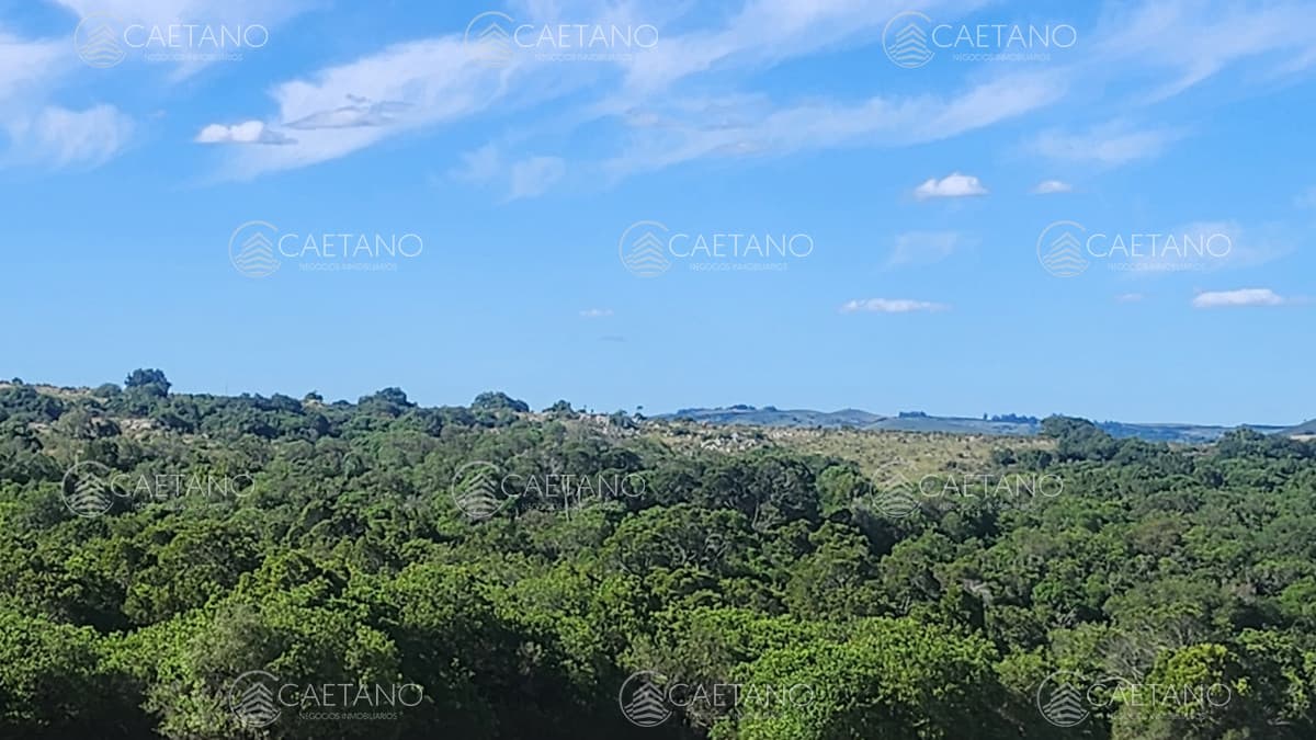 Terreno en alquiler en Pueblo Eden — foto 2