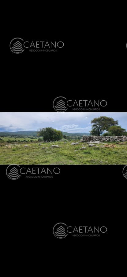 Terreno en alquiler en Maldonado — foto 2