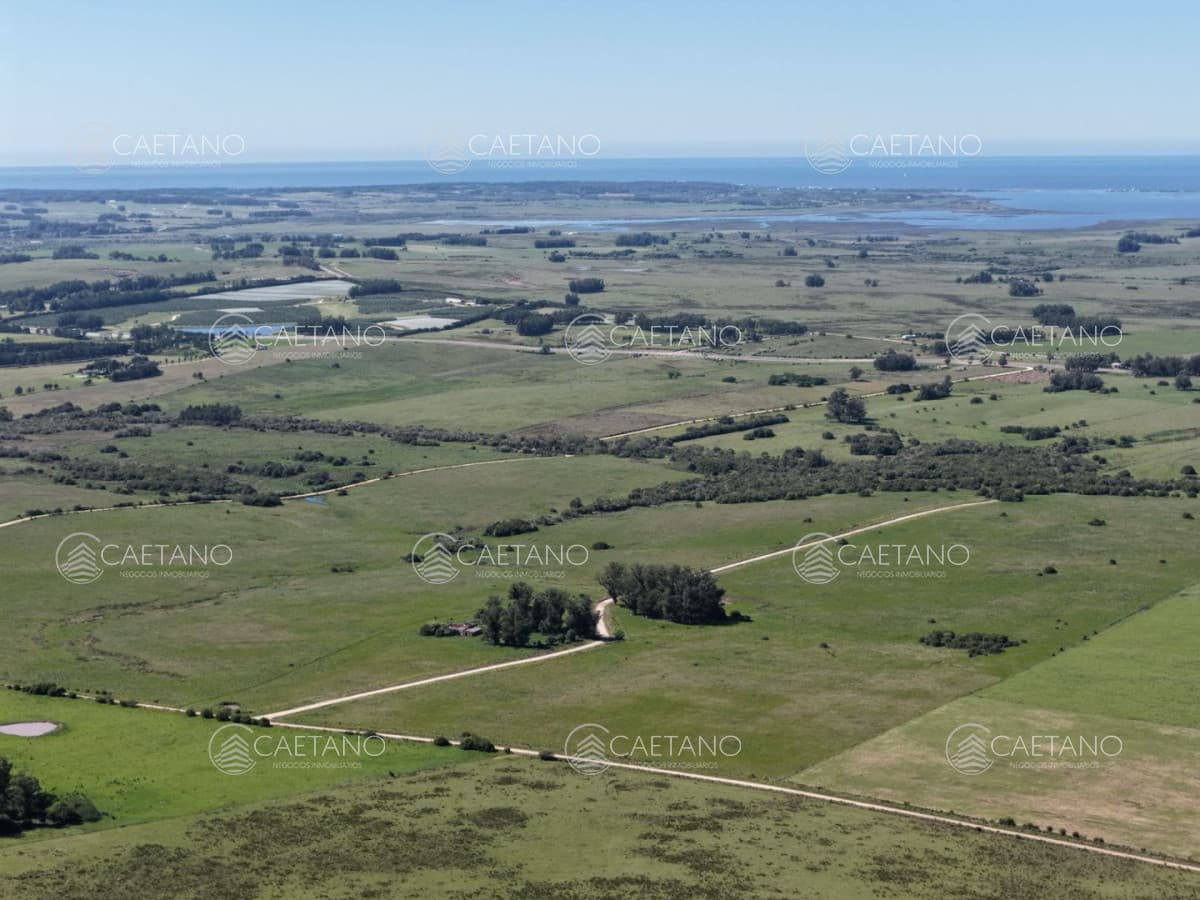 Chacras de 3 hectareas Ama Jose Ignacio , desde 85,000 dolares — foto 2