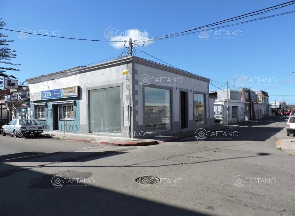Local Comercial en Maldonado - Alquiler Anual — foto 2