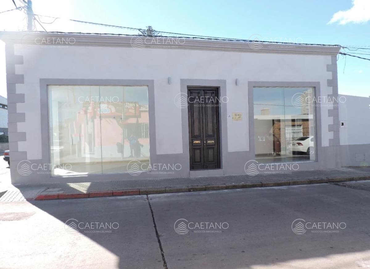 Local Comercial en Maldonado - Alquiler Anual — foto 3