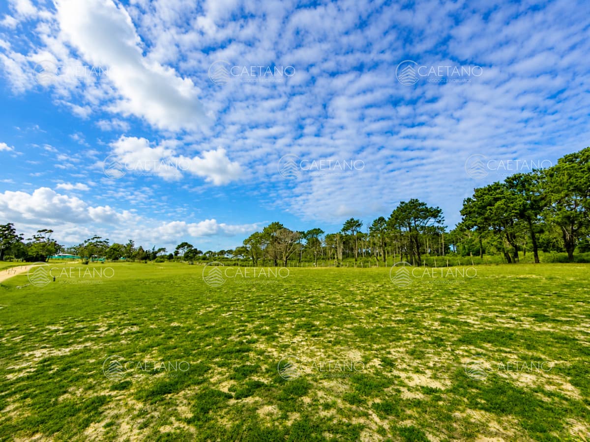 Terreno en Venta en Barrio Privado - Laguna Estates — foto 3