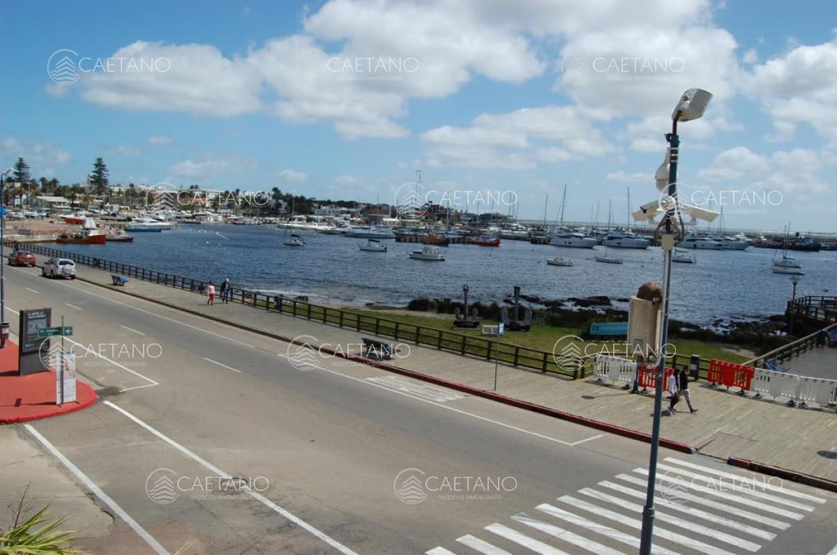 Apartamento en alquiler en Punta del Este — foto 2