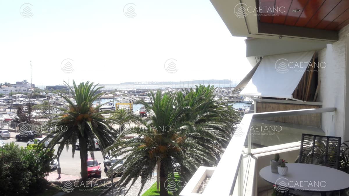 Apartamento en alquiler en Punta del Este