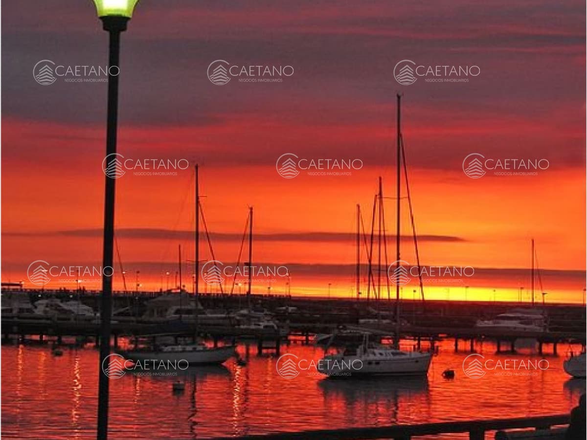 Apartamento en alquiler en Punta del Este