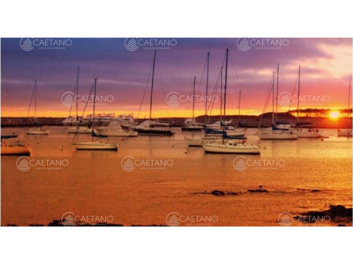 Apartamento en alquiler en Punta del Este — foto 3